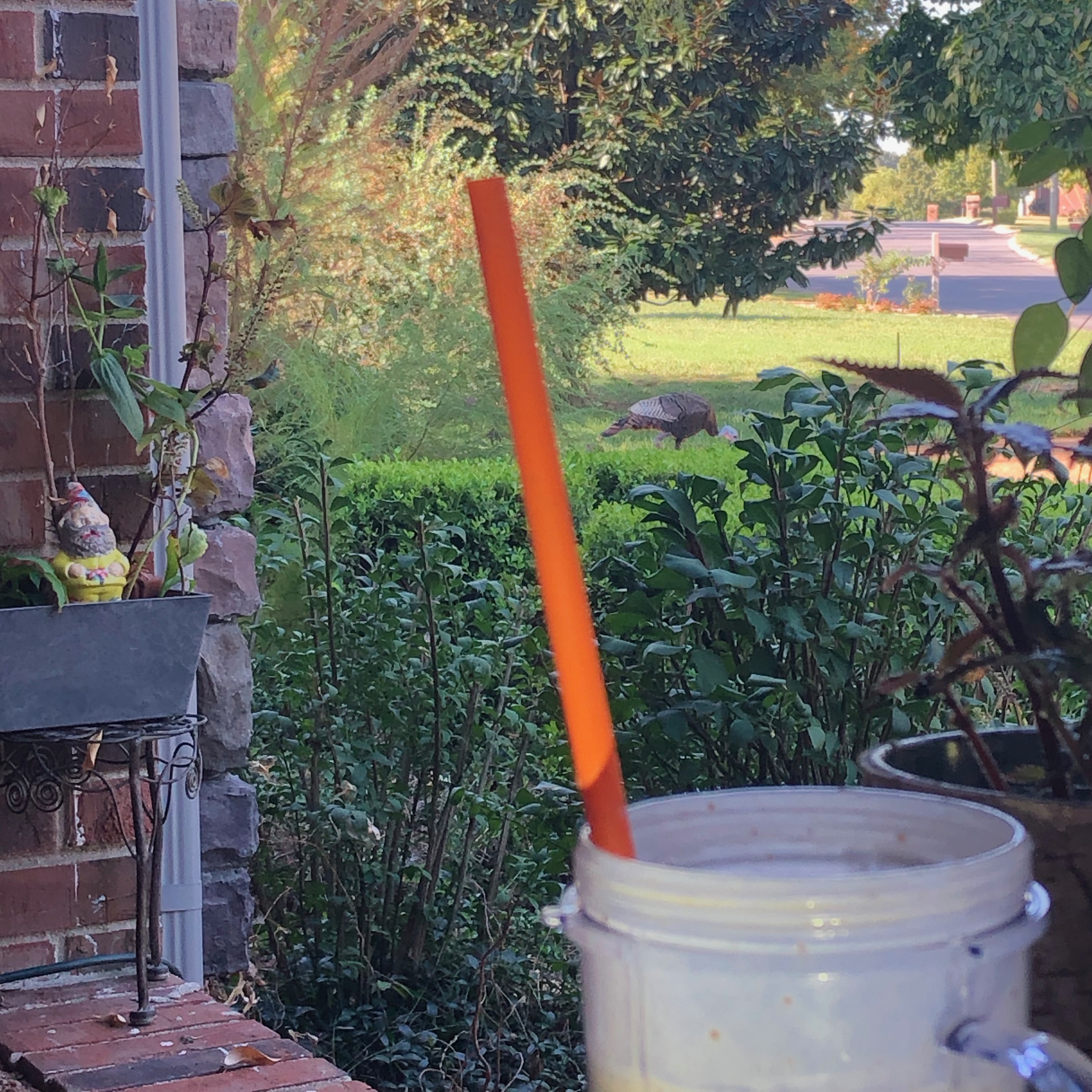 Smoothie with Reusable straw