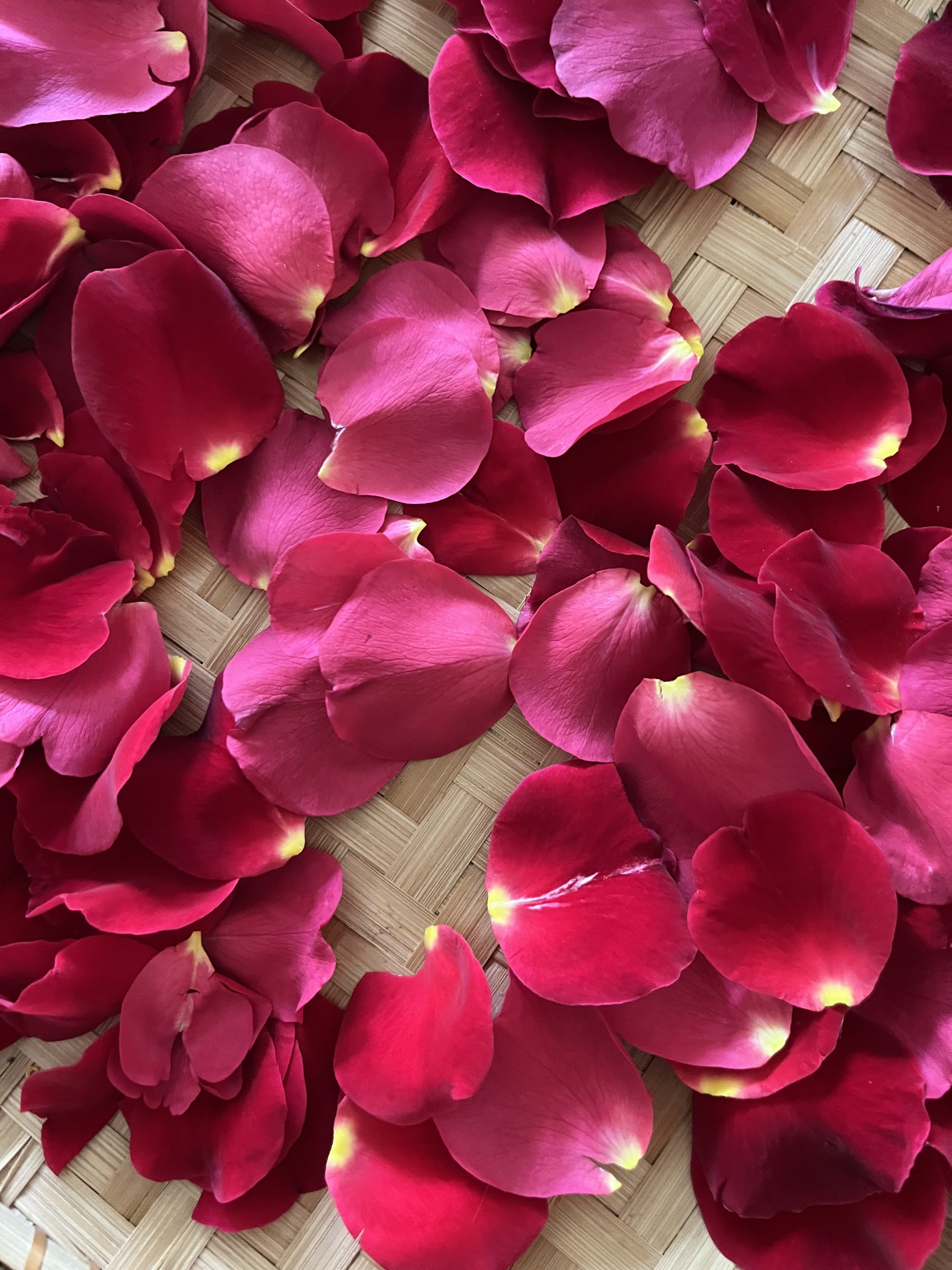 the simple joy of rose petals
