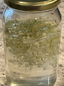 elderflower fermented beverage