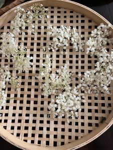 drying elderflower